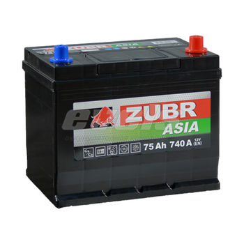 ZUBR Premium Азия  6ст-75 R+ D26